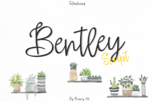 Bentley: A Font That Elevates Branding