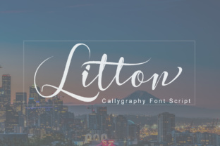 Choosing the Right Font for Your Brand: A Real-World Test with Litton