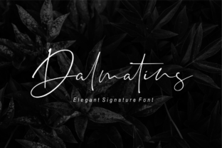 Dalmatins: A Font for Thoughtful Design