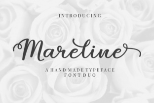 Font Choice That Works: Mareline Duo for Web Design