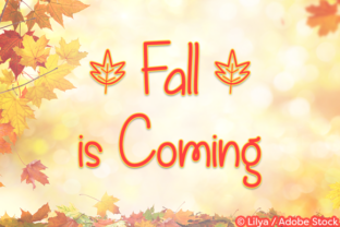 Font That Captures the Spirit of Autumn: Fall is Coming
