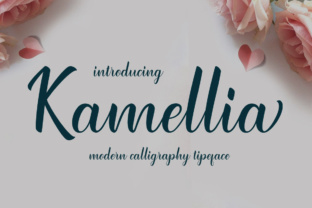 Kamellia: A Script Font for Modern Campaigns